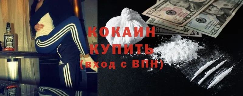 купить наркотики сайты  Кировград  Cocaine Fish Scale 